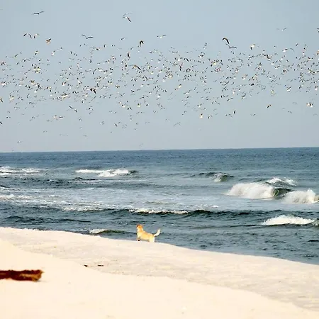 White Pearl 0.02 Apartamento